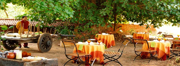 715/Taj Mahua Kothi Bandhavgarh National Park - Umaria 05.jpg